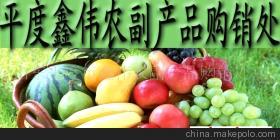 山東玉米市場價格、廠家信息與農(nóng)產(chǎn)品代理介紹