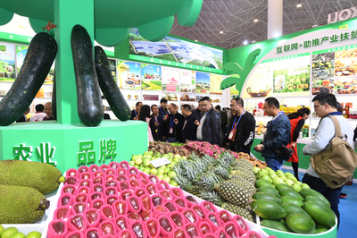 海口特色扶貧農產品閃耀冬交會，助力鄉村振興