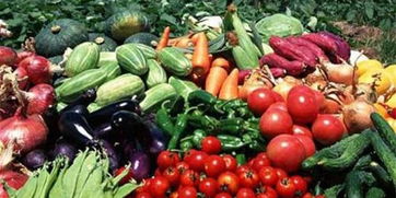 皖校食堂攜手，愛心采購助農(nóng)惠學(xué)